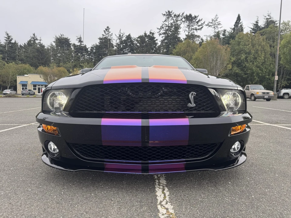 2009 Ford S197 Mustang - Image 23 of 31