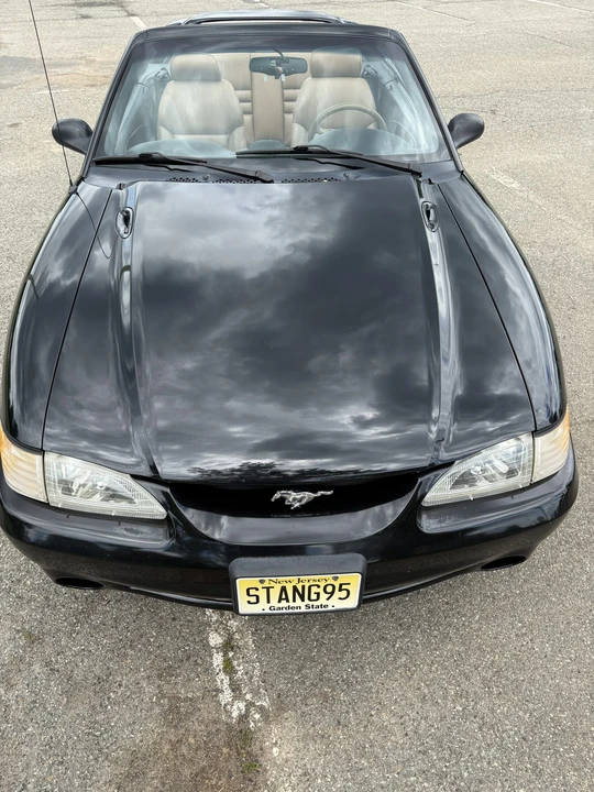 1995 Ford SN95 Mustang Cobra - Image 5 of 31