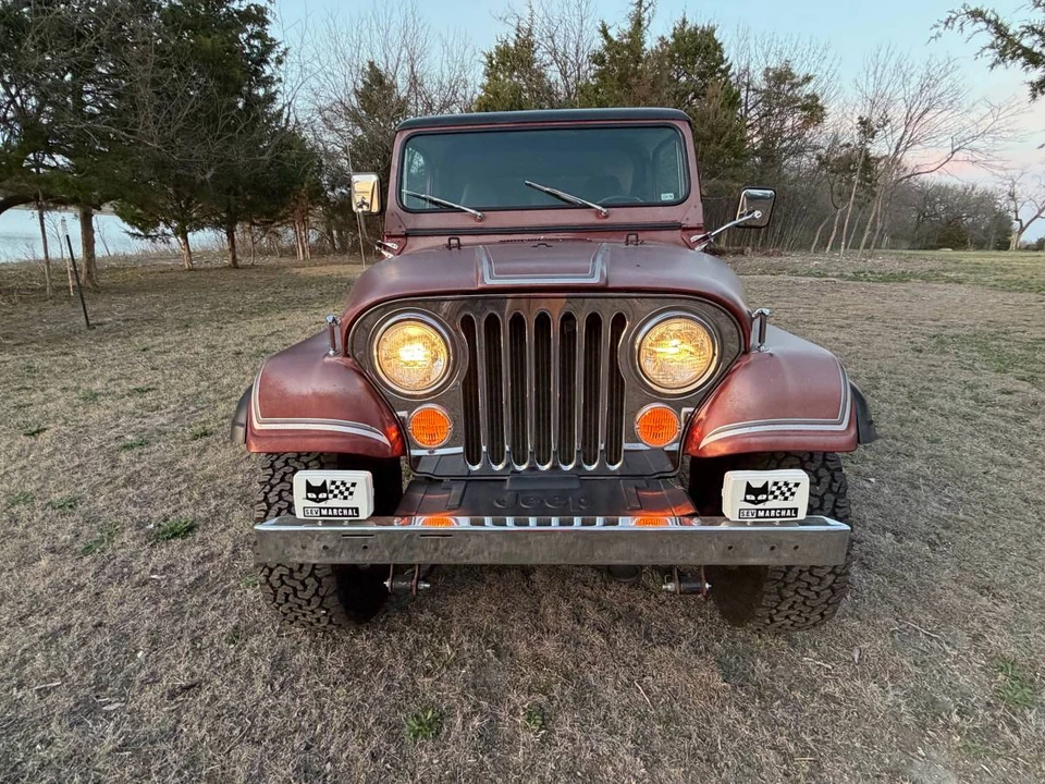 1984 AMC - Image 23 of 24