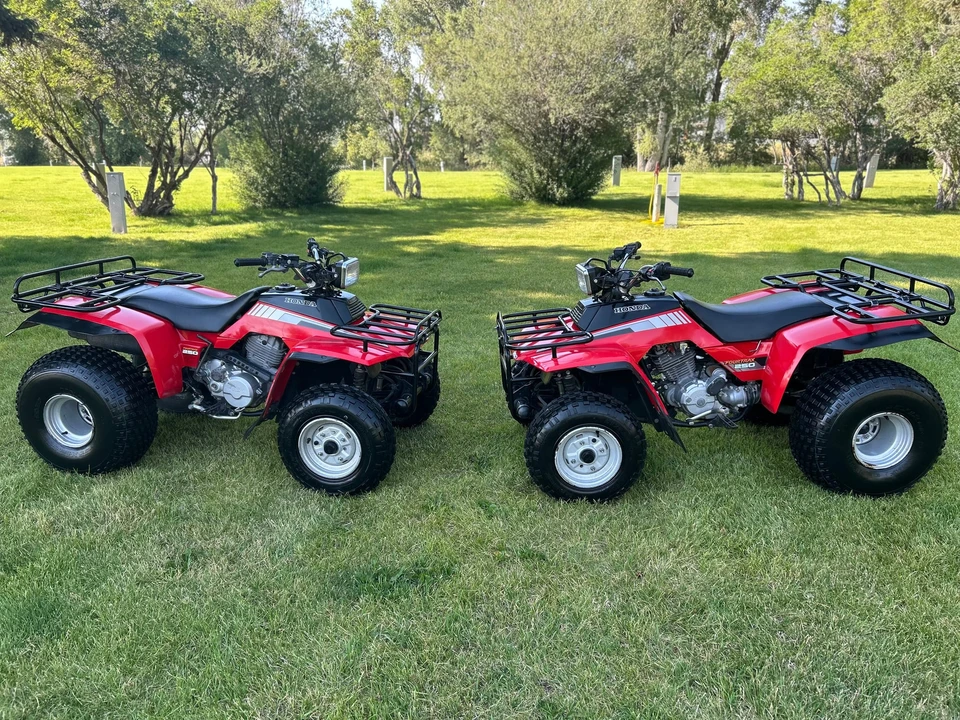 1985 Honda ATV - Image 2 of 31