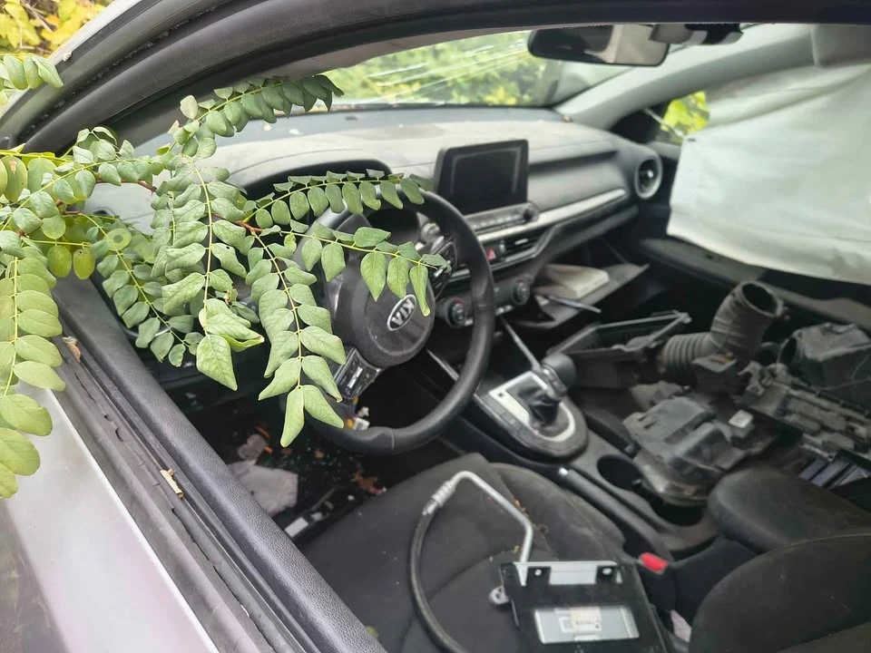 2019 Kia Forte - Image 2 of 3
