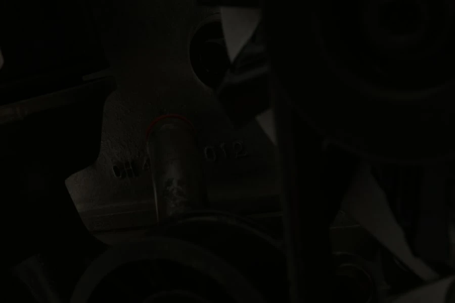 Lotus - Image 8 of 24
