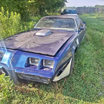 1978 Pontiac Firebird Trans Am
