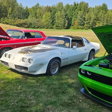 Pontiac Firebird Trans Am 1981