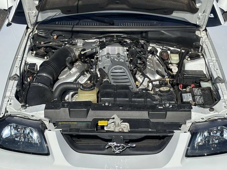 2004 Ford SN95 Mustang Cobra - Image 26 of 28