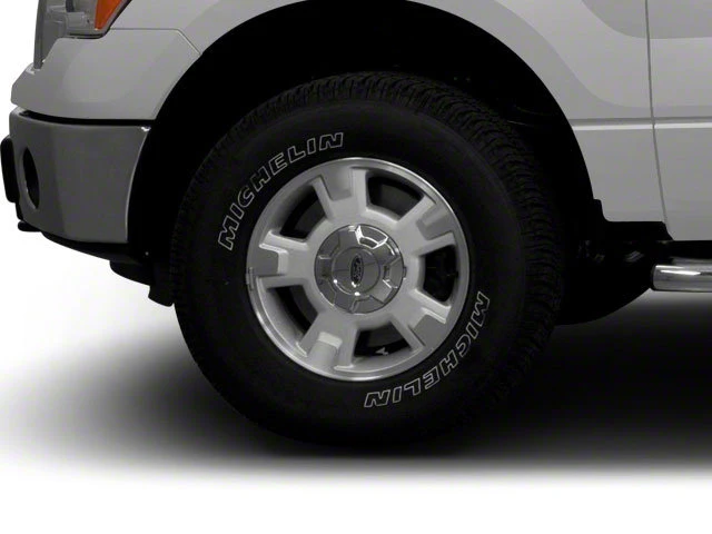 2010 Ford F-150 Raptor 12th Gen - Image 12 of 20
