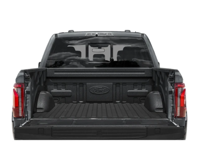 2025 Ford F-150 Raptor 14th Gen - Image 9 of 14