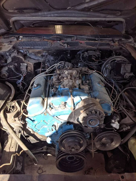 1979 Pontiac Firebird 2nd Gen - Image 3 of 4