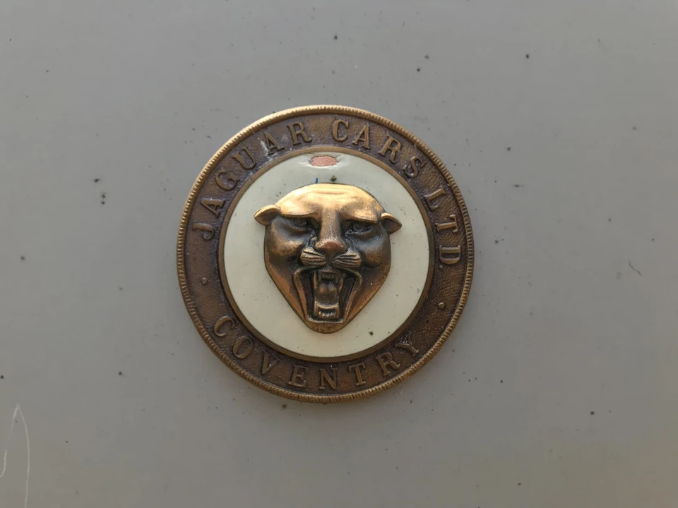 Jaguar Replica - Image 15 of 31