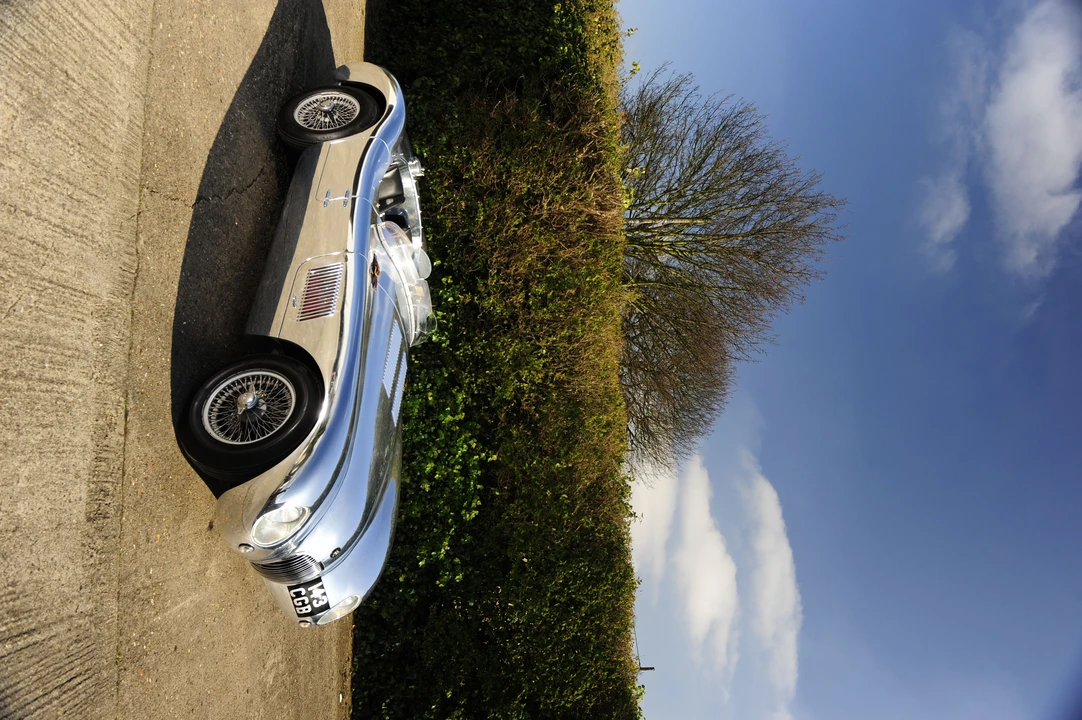 Jaguar Replica - Image 5 of 5