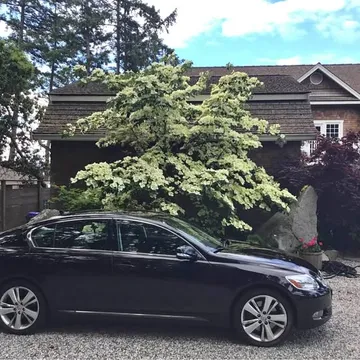 2011 Lexus GS F