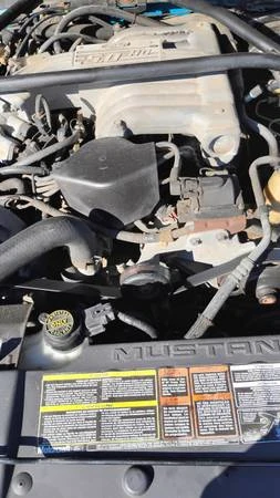 1995 Ford SN95 Mustang - Image 9 of 19