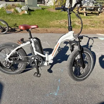 Rad Power Bikes RadMini Step-Thru 2