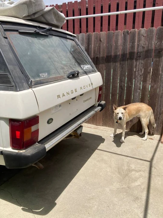 1990 Land Rover Range Rover Classic - Image 20 of 24
