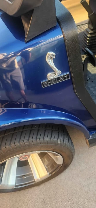 Shelby - Image 2 of 10