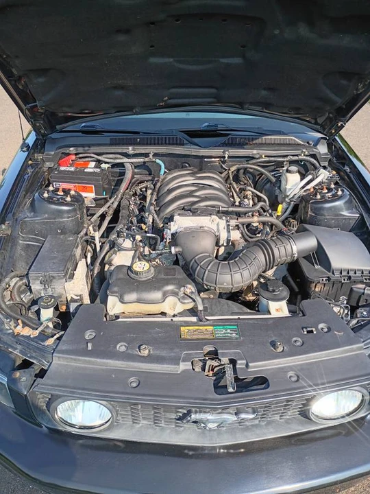 2009 Ford S197 Mustang GT - Image 16 of 20