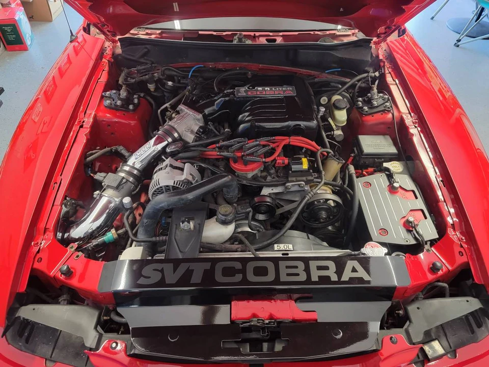 1995 Ford SN95 Mustang Cobra - Image 8 of 8