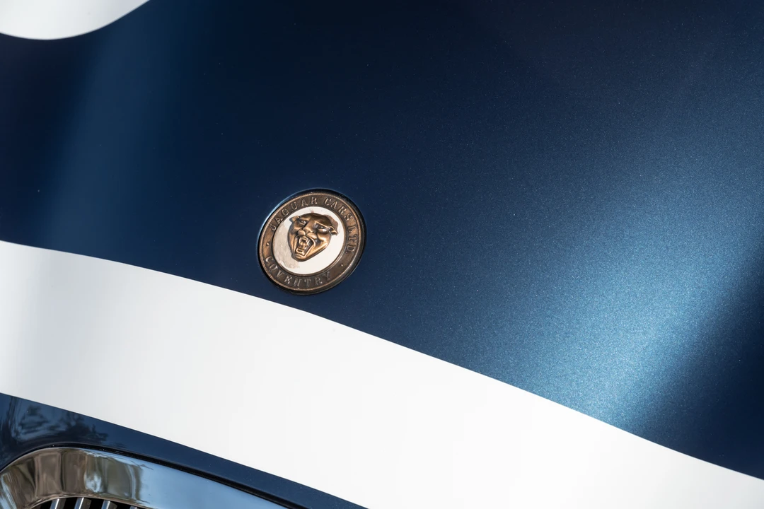 Jaguar Replica - Image 30 of 31