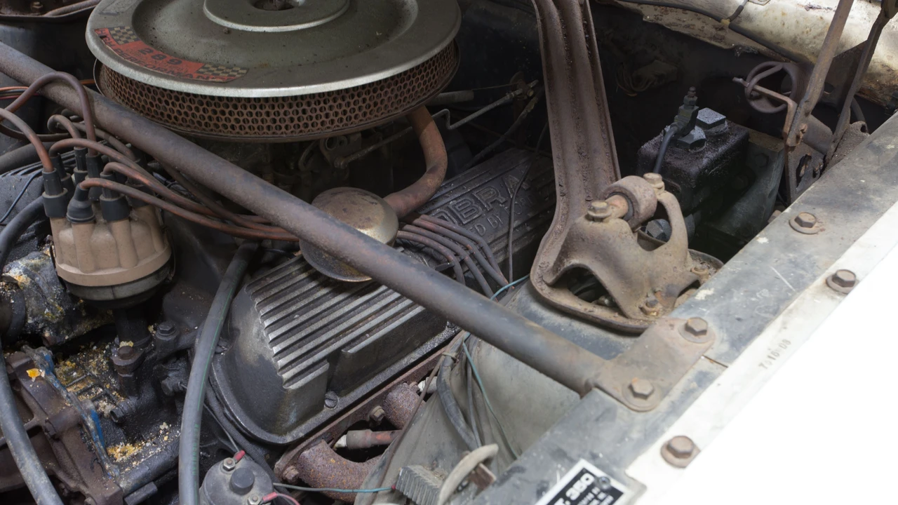 1966 Shelby GT350 - Image 22 of 22