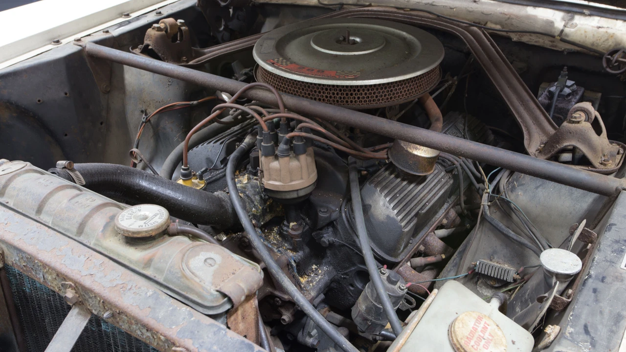 1966 Shelby GT350 - Image 7 of 22