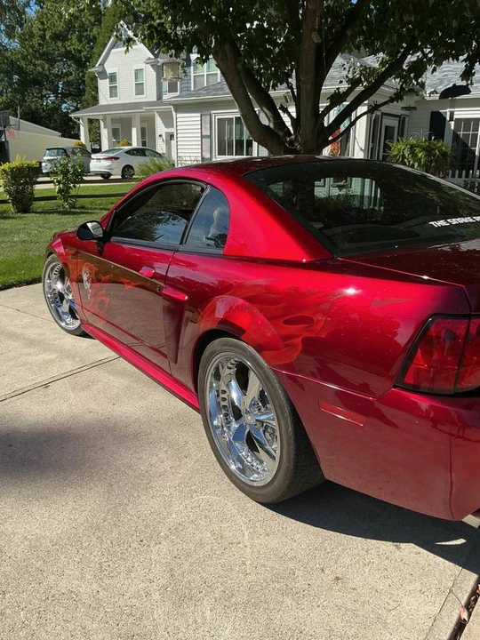2003 Ford SN95 Mustang - Image 10 of 11