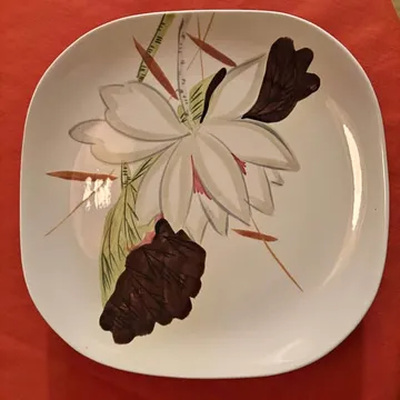 Red Wing Hand Painted Lotus Dishes