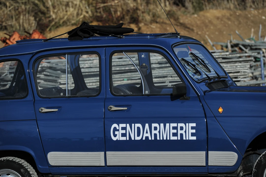 Renault 4 - Image 19 of 29