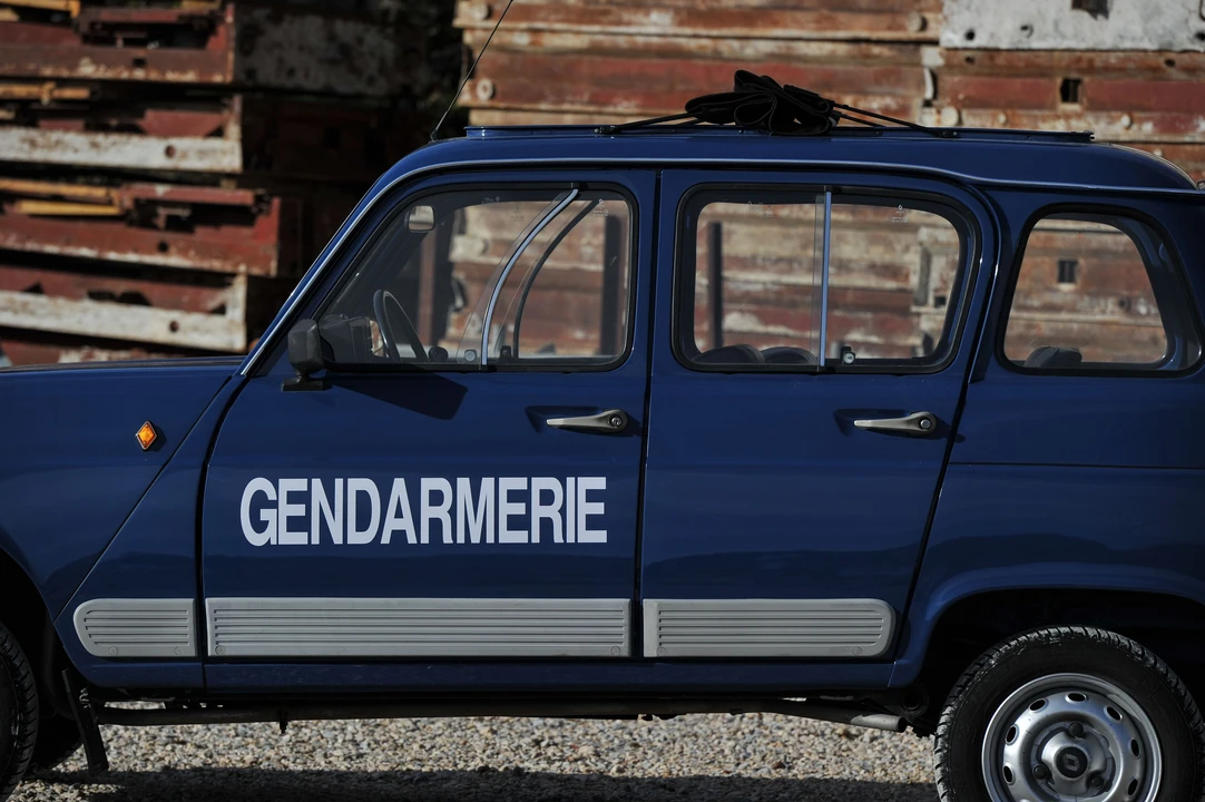Renault 4 - Image 17 of 29