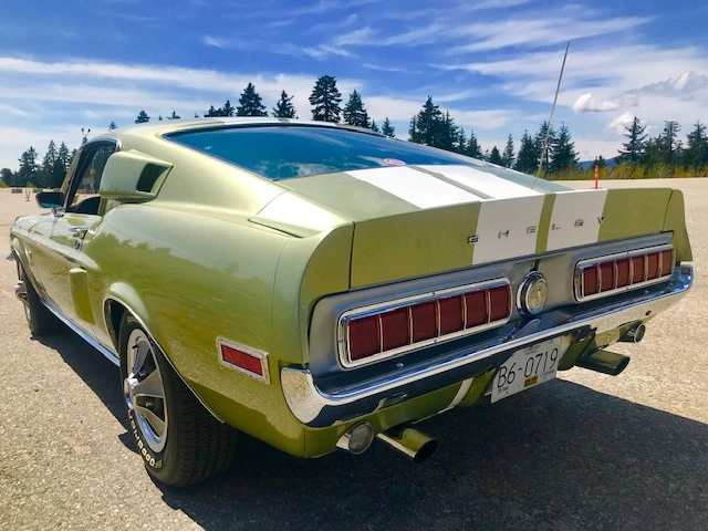 1968 Shelby GT350 - Image 14 of 31