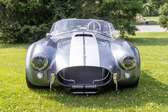 Shelby Cobra Replica - Image 3 of 31