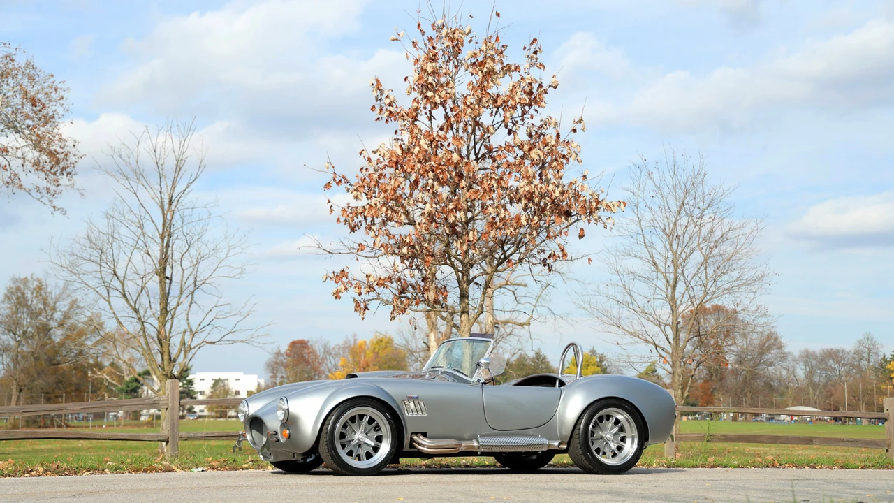 Shelby Cobra Replica - Image 15 of 31