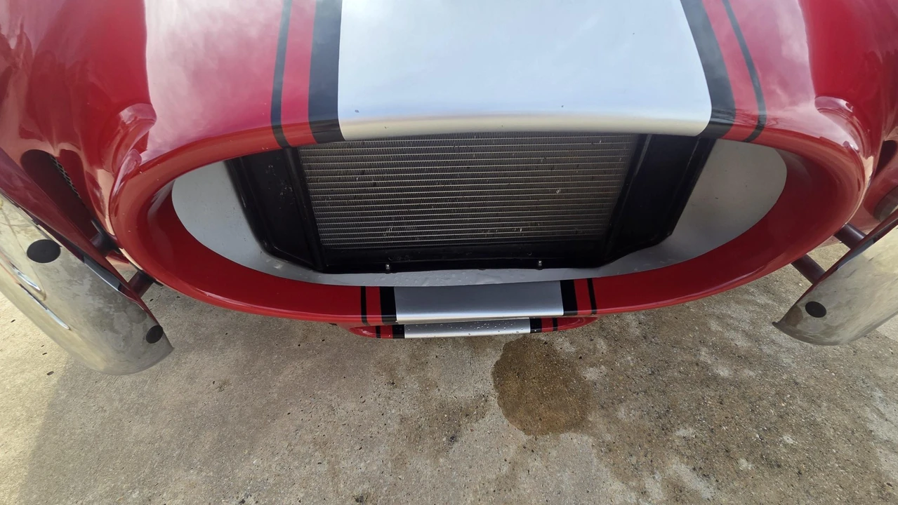 Shelby Cobra Replica - Image 24 of 31