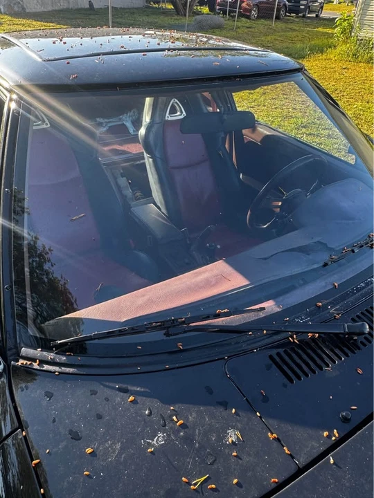 1985 Mazda RX-7 SA & FB - Image 5 of 10