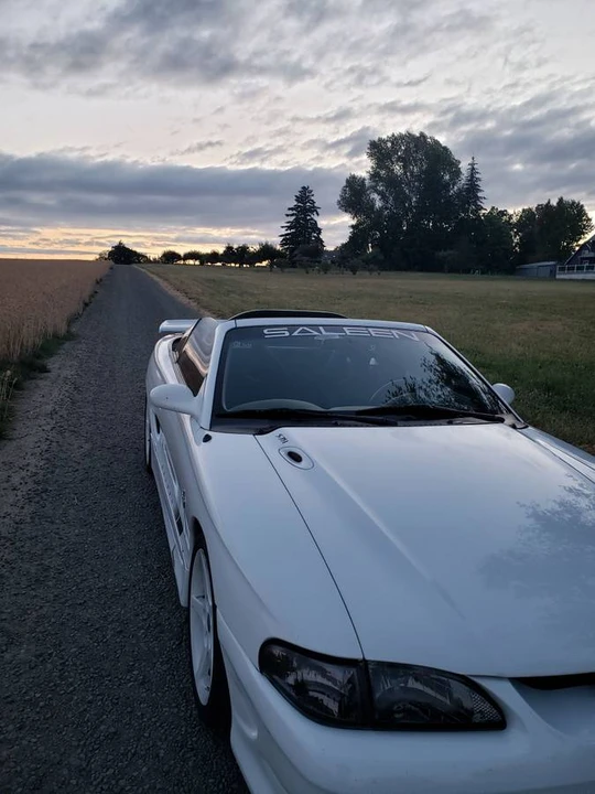1994 Ford SN95 Mustang - Image 8 of 24