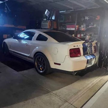 2007 Shelby Cobra GT500