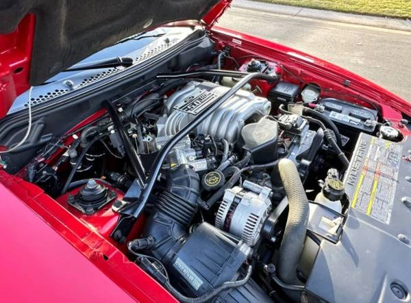 1994 Ford SN95 Mustang - Image 8 of 15
