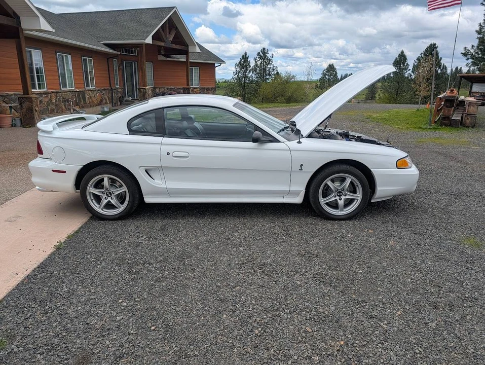 1997 Ford SN95 Mustang Cobra - Image 4 of 15