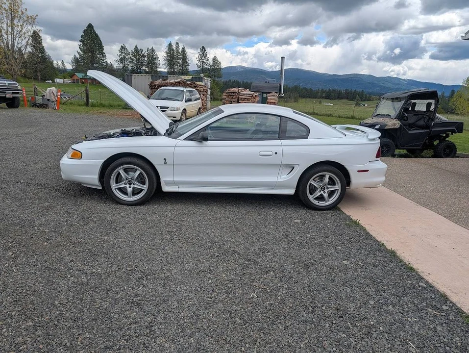 1997 Ford SN95 Mustang Cobra - Image 2 of 15