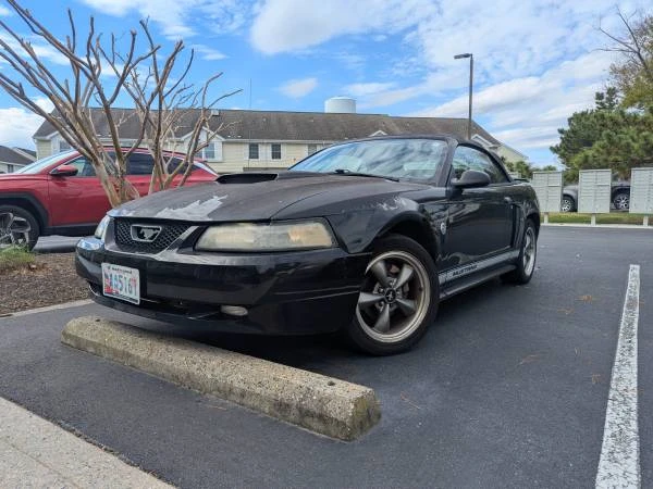 2004 Ford SN95 Mustang - Image 5 of 8