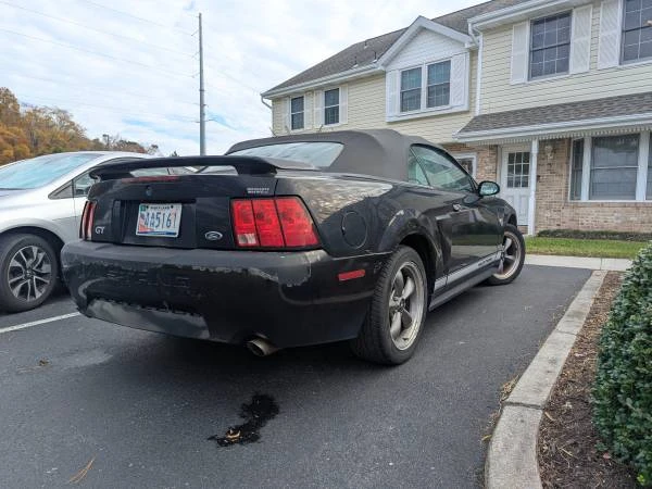 2004 Ford SN95 Mustang - Image 3 of 8
