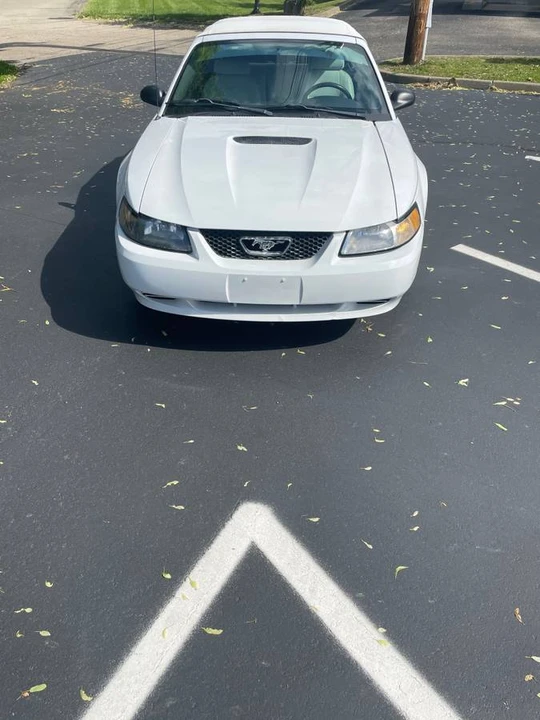 2002 Ford SN95 Mustang - Image 2 of 10