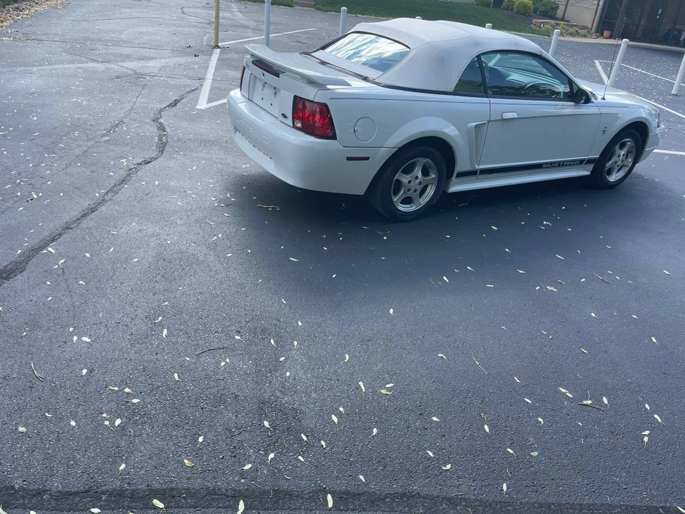 2002 Ford SN95 Mustang - Image 4 of 10