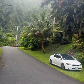 2008 Scion tC