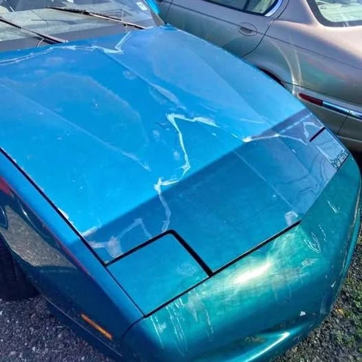 1992 Pontiac Firebird 3rd Gen - Image 1 of 1