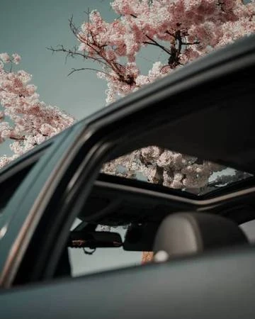 2011 BMW E90 3 Series Sedan - Image 3 of 8