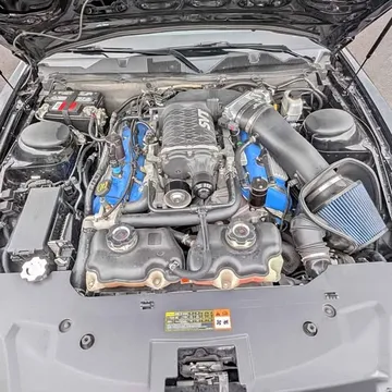 2011 Shelby