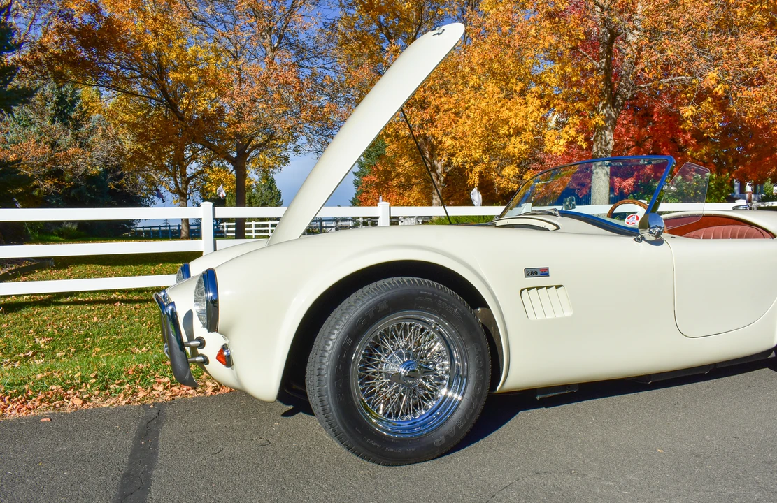 Shelby CSX Cobra Continuation - Image 21 of 31