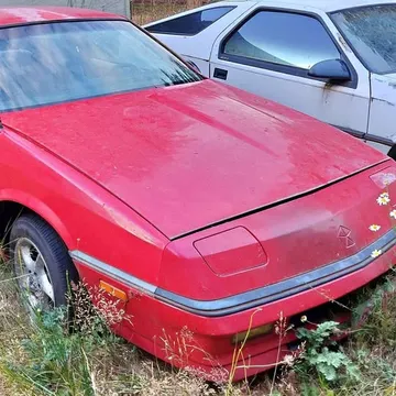 Dodge Daytona Shelby Project Cars (1987 & 1988)