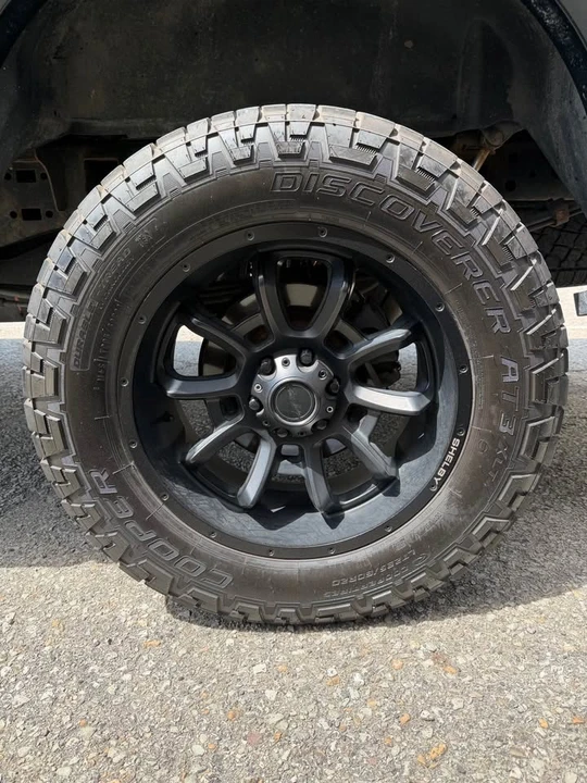 Shelby - Image 5 of 10