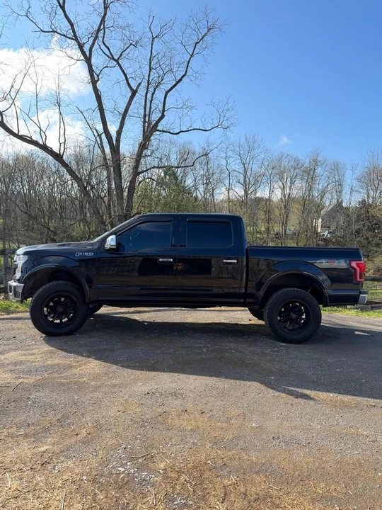 Shelby - Image 7 of 10
